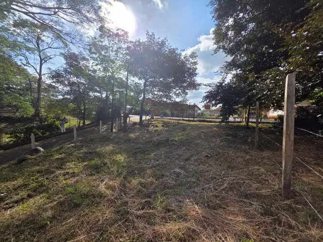Solo 98.000/m² | Lote Comercial 969 m² | 66.60 m Frente Ruta 3 | San Mateo - Imagen 3