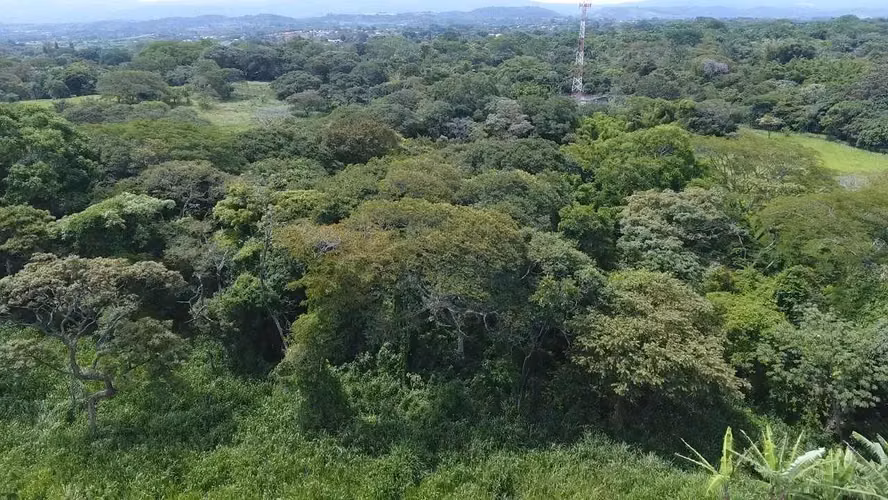 Amplio lote de 10,288 m2 en La Garita, Alajuela - Imagen 7