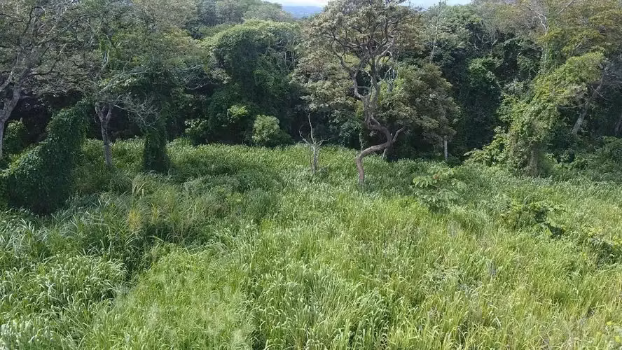 Amplio lote de 10,288 m2 en La Garita, Alajuela - Imagen 6