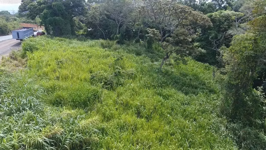 Amplio lote de 10,288 m2 en La Garita, Alajuela - Imagen 4