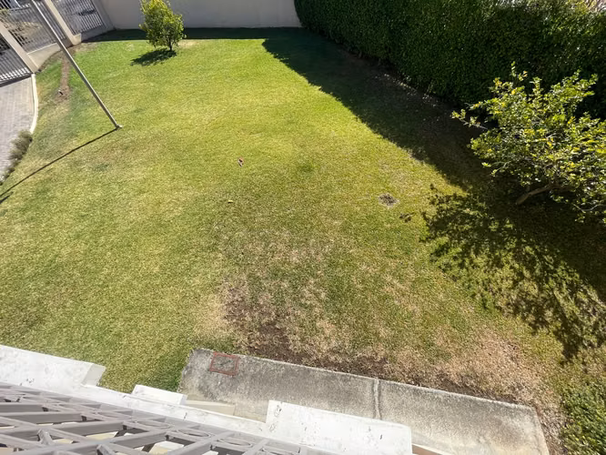Alquiler de casa Residencial Cariari, Heredia.
