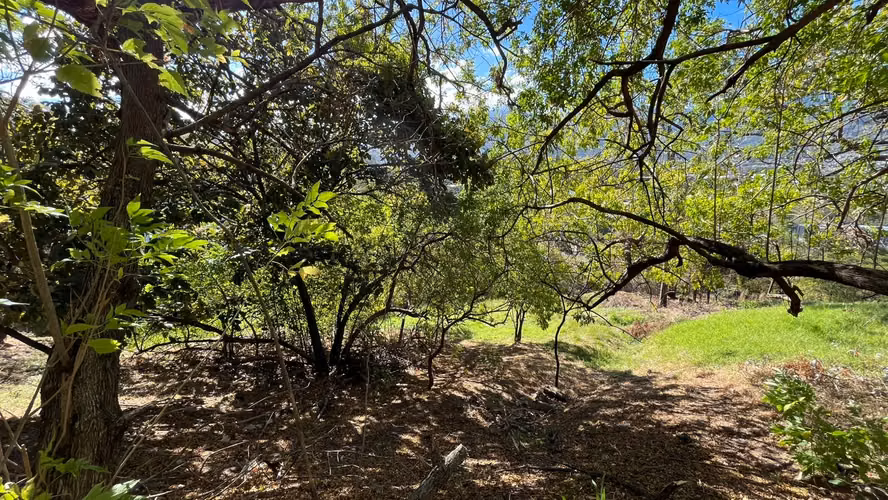 Se vende terreno con espectacular vista. Santa Ana – Residencial Villa Real - Imagen 6