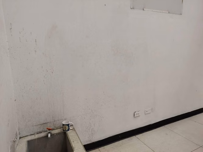 Local Comercial San José Centro 250m2 Av. 2 - Imagen 11