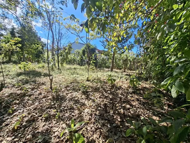 Hermoso Lote en Venta — 986 m²  Jaboncillos de Escazú - Imagen 8
