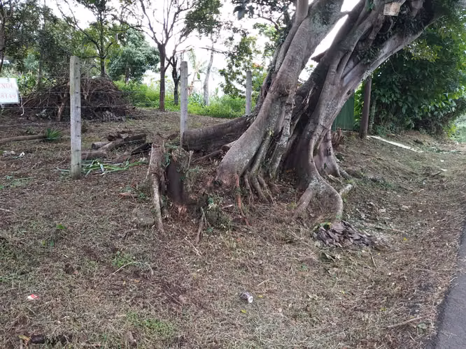 Hermoso Lote en Venta — 986 m²  Jaboncillos de Escazú - Imagen 14