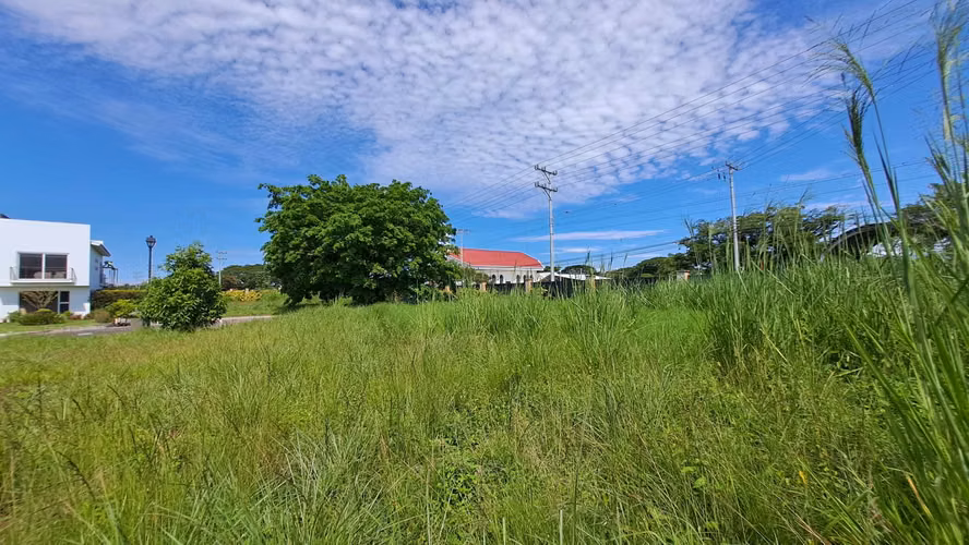 LOTES EN VENTA. SANTA ANA. 623 M2. CONDOMINIO - Imagen 6