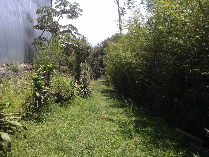 Lote 20.000 m² con potencial turístico – La Garita
