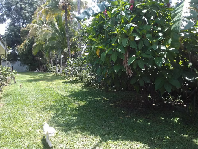 Lote 20.000 m² con potencial turístico – La Garita