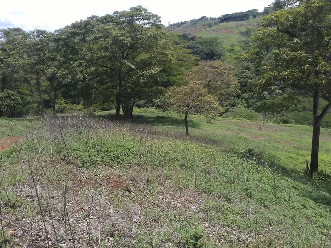 Lote 20.000 m² con potencial turístico – La Garita