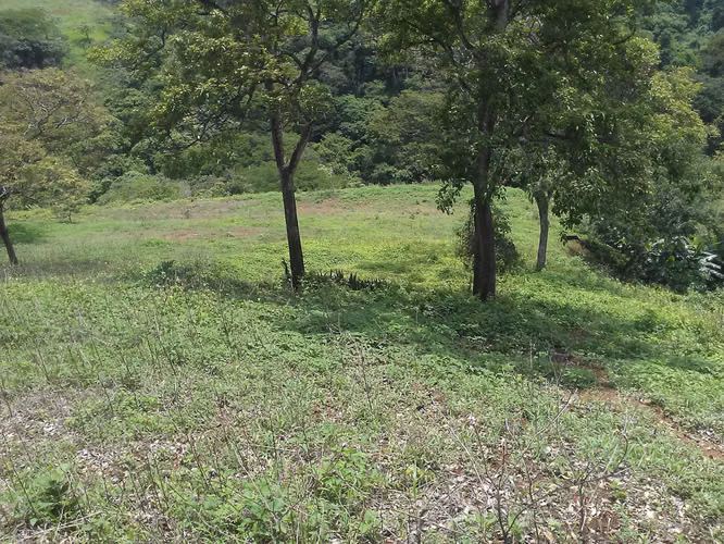Lote 20.000 m² con potencial turístico – La Garita
