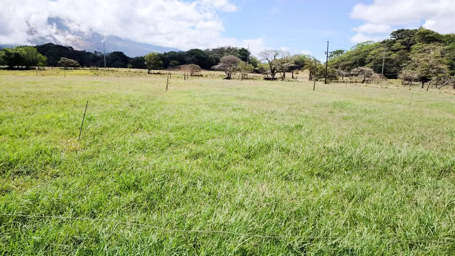 Finca Ganadera y Lechera en Venta en Bagaces | 95–100 Ha | En Producción  - Imagen 8