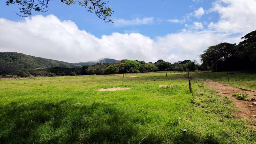 Finca Ganadera y Lechera en Venta en Bagaces | 95–100 Ha | En Producción  - Imagen 3
