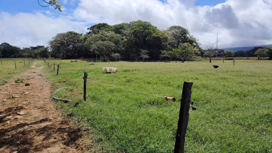 Venta de finca ganadera y lechera en Bagaces - Imagen 5