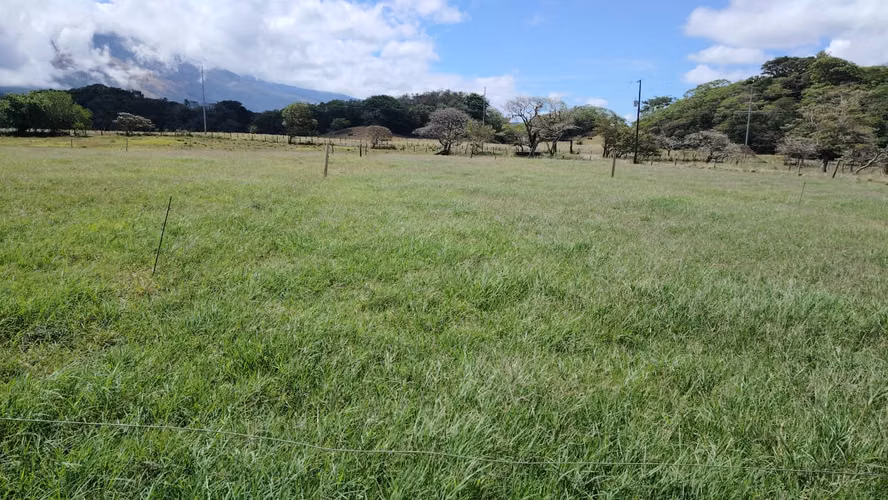 Venta de finca ganadera y lechera en Bagaces - Imagen 6