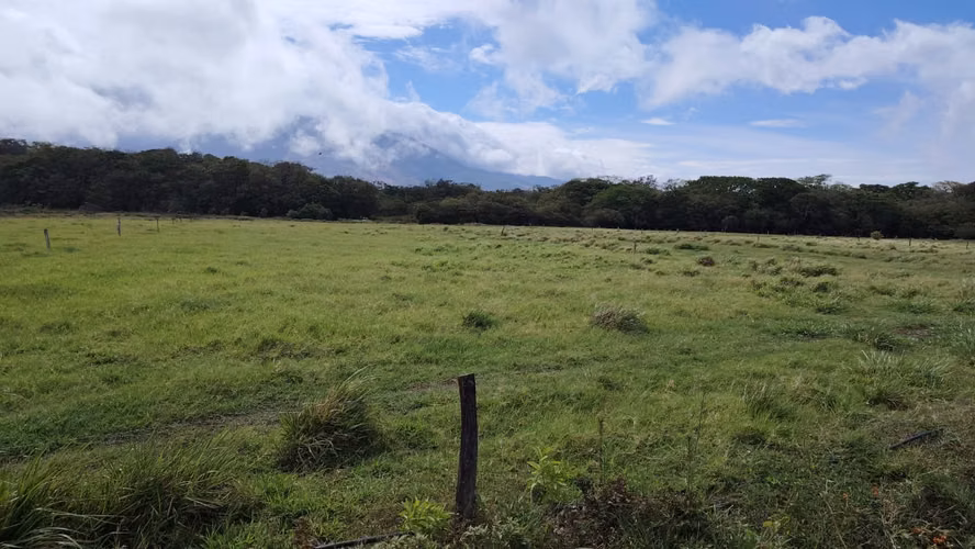Venta de finca ganadera y lechera en Bagaces - Imagen 8