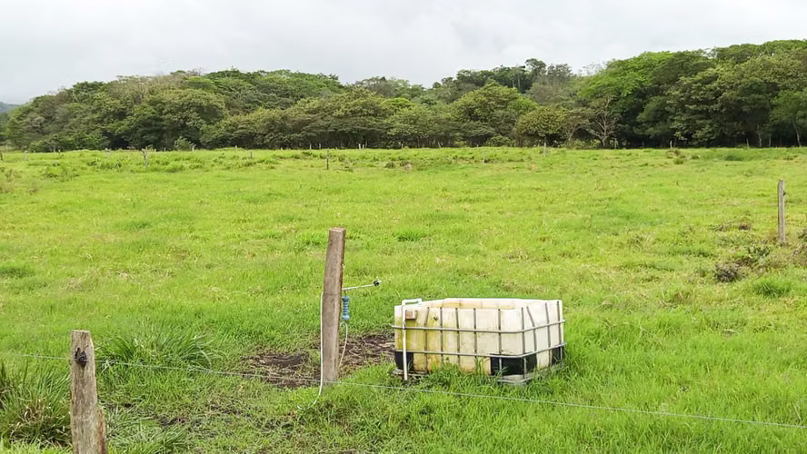 Finca Ganadera y Lechera en Venta en Bagaces | 95–100 Ha | En Producción  - Imagen 6