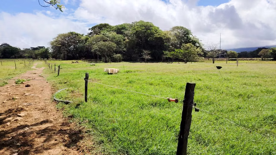 Finca Ganadera y Lechera en Venta en Bagaces | 95–100 Ha | En Producción  - Imagen 5