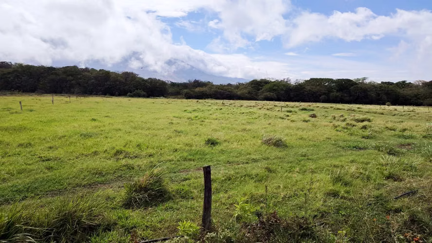 Finca Ganadera y Lechera en Venta en Bagaces | 95–100 Ha | En Producción  - Imagen 7