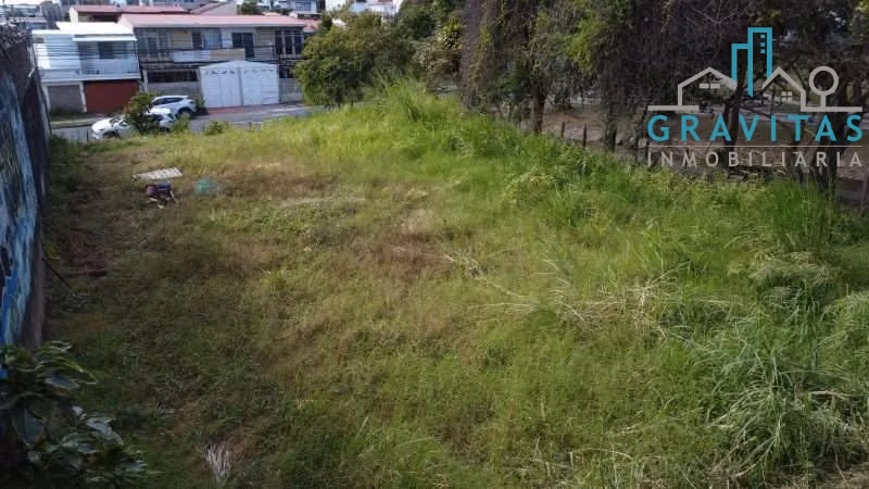Venta de lote en San Pedro | 640 m2 | USO MIXTO | F 657 - Imagen 6