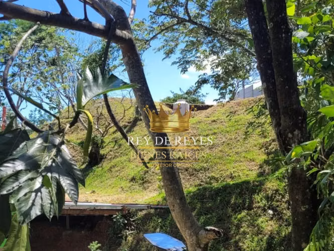 VENTA DE PROPIEDAD UBICADA ENTRE ESPARZA Y SAN RAMON - Imagen 15