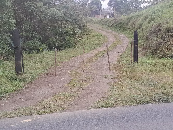 Venta de finca en Los Ángeles de San Ramon - Imagen 13