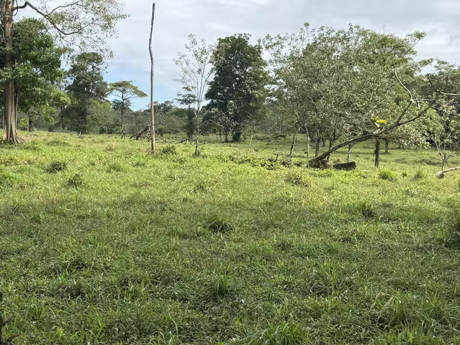 Finca en Katira con frente a carretera nacional – Gran inversión