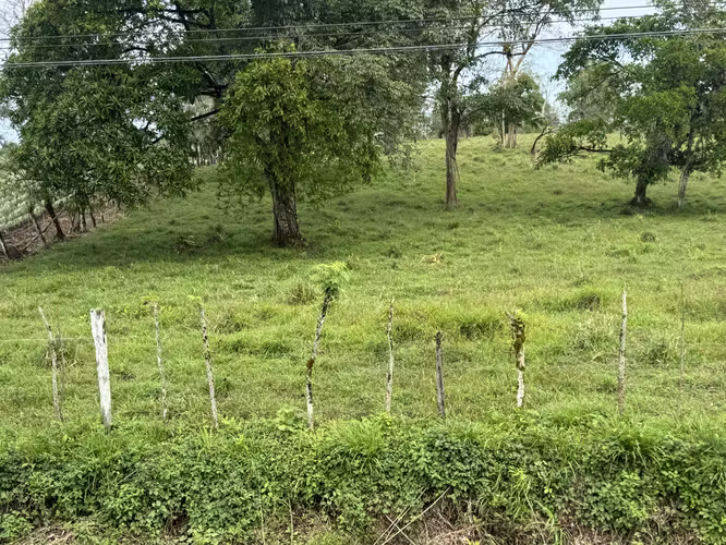 Finca en Katira con frente a carretera nacional – Gran inversión