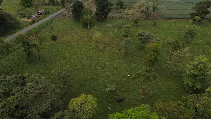 Finca en Katira con frente a carretera nacional – Gran inversión