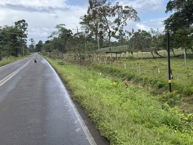 Finca en Katira con frente a carretera nacional – Gran inversión