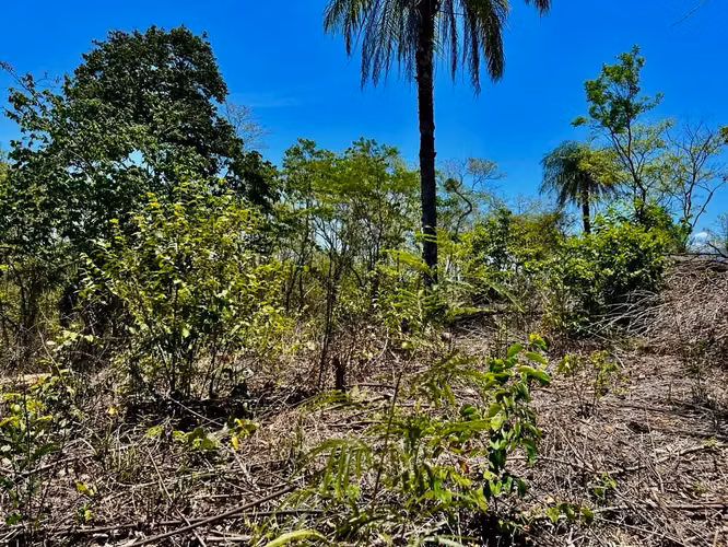 Terreno premium con vista a Carara y al río Tárcoles - Imagen 5