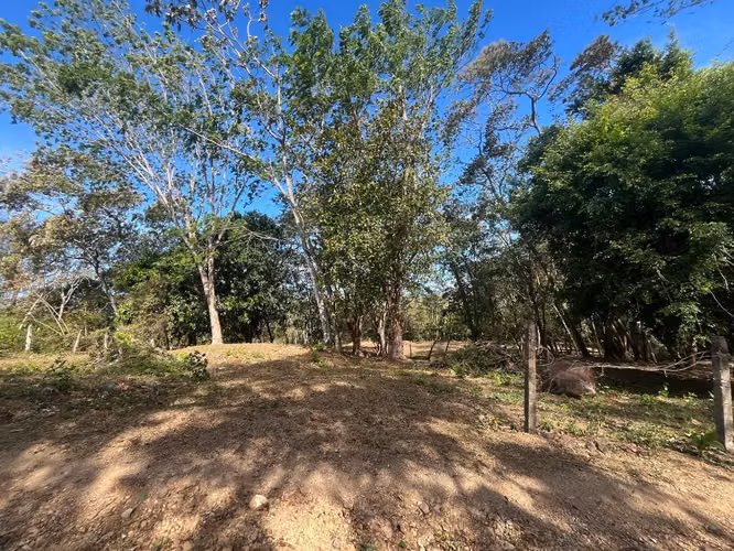 Terreno en venta Orotina - Imagen 5