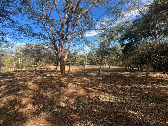 Terreno en venta Orotina - Imagen 10