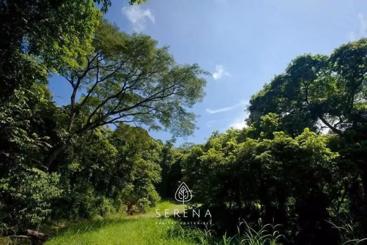 Terreno en Venta Condominio Orotina - Imagen 4