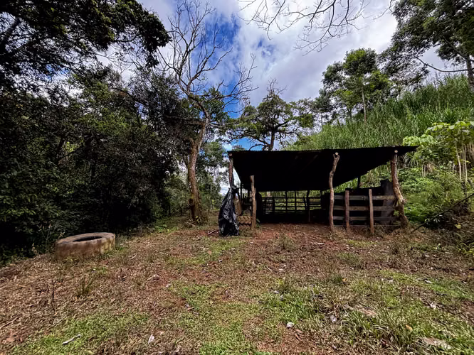 Venta de Finca de 7.1 Ha en Mercedes Sur, Puriscal – Para ganadería o turístico