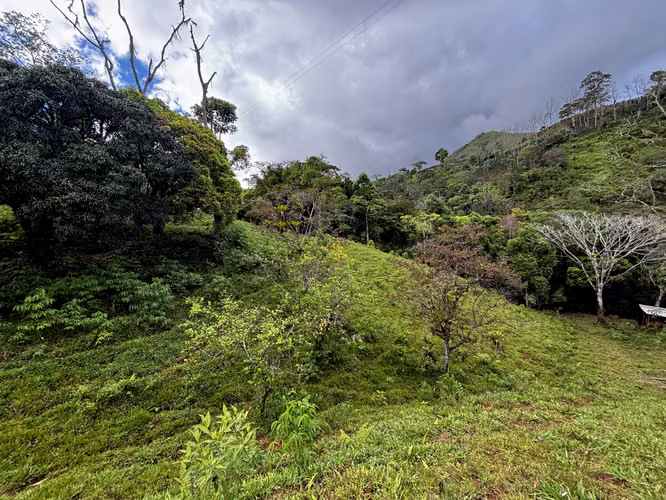 Venta de Finca de 7.1 Ha en Mercedes Sur, Puriscal – Para ganadería o turístico
