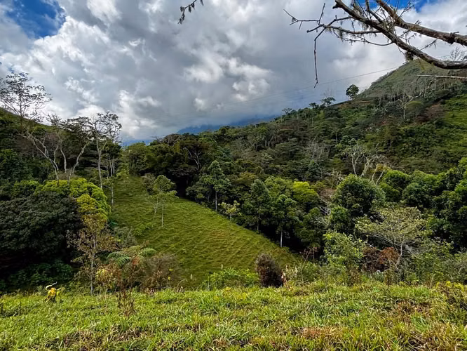 Venta de Finca de 7.1 Ha en Mercedes Sur, Puriscal – Para ganadería o turístico