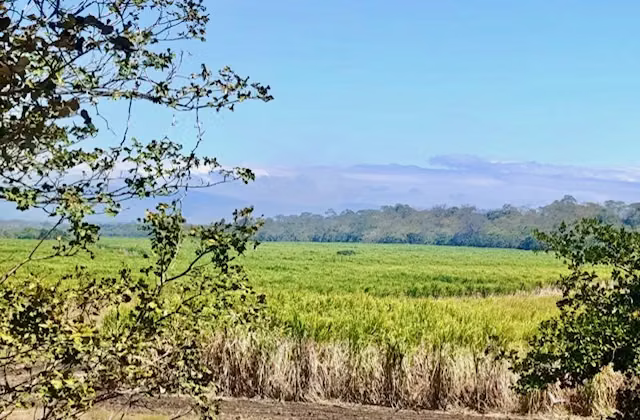 Venta finca Guanacaste Bagaces GANGA 2.857 mill col x hect - Imagen 1