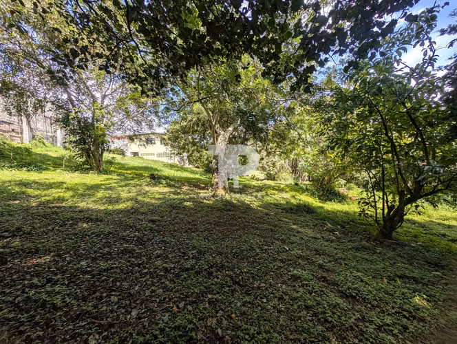 SE VENDE LOTE Y CASA SAN ISIDRO HEREDIA A TAN SOLO 2 KM DE LA RUTA 32 SCG5