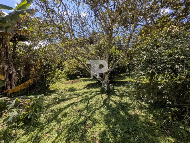 SE VENDE LOTE Y CASA SAN ISIDRO HEREDIA A TAN SOLO 2 KM DE LA RUTA 32 SCG5