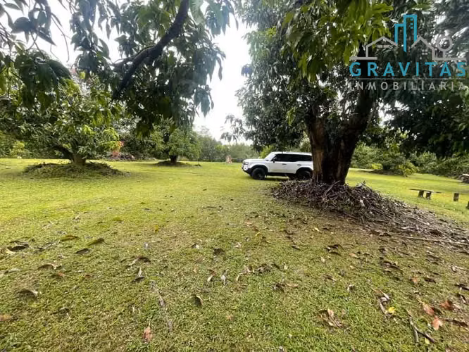 Venta de finca en Orotina | 19300 m2 | TOPOGRAFÍA PLANA | F 660 - Imagen 4