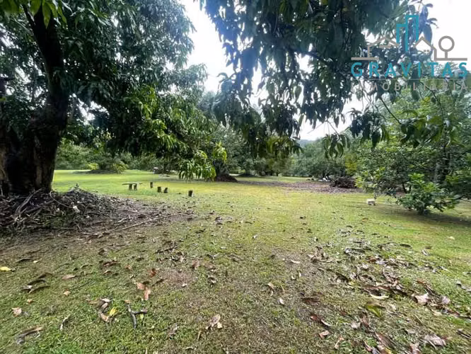 Venta de finca en Orotina | 19300 m2 | TOPOGRAFÍA PLANA | F 660 - Imagen 19