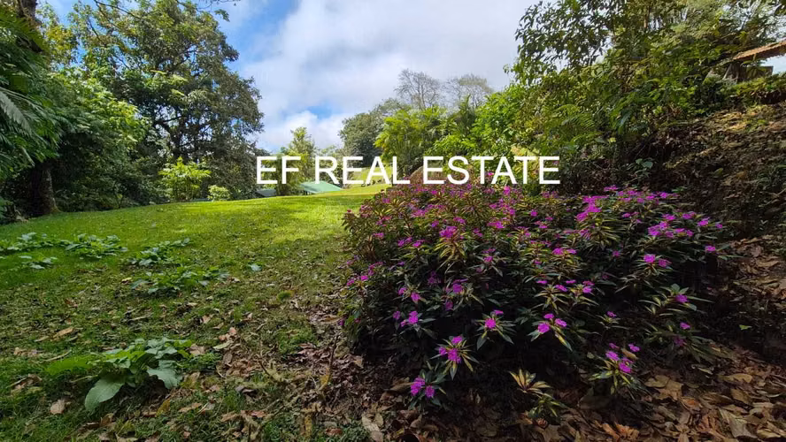 OPORTUNIDAD¡CASA ESTILO UNICO RESIDENCIAL O COMERCIAL 4500 MT2 TERRENO
