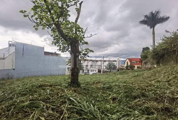id 41423 Venta de lote para desarrollo residencial - Curridabat - Imagen 9