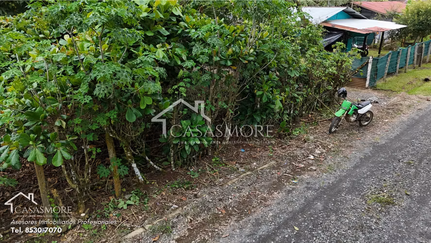 VENTA LOTE CARIARI, POCOCI, 300 M2 PLANO, CON ACCESO A SERVICIOS PUBLICOS, SE ESCUCHAN OFERTAS - Imagen 4