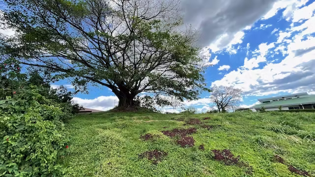 Amplio Lote con el Mejor Precio del Condominio - Vista panorámica con Hermoso Arbol - Clima Fresco