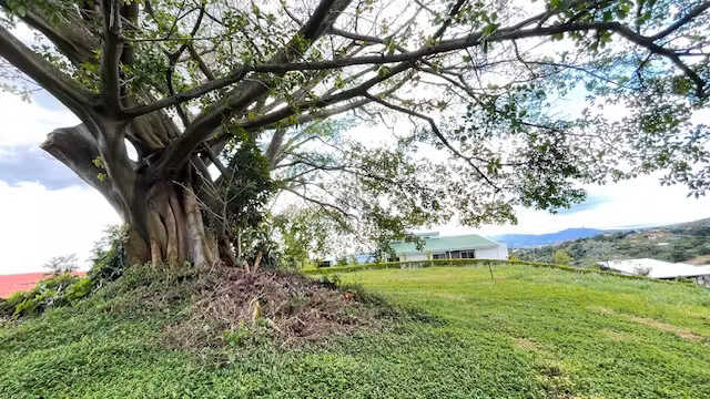 Amplio Lote con el Mejor Precio del Condominio - Vista panorámica con Hermoso Arbol - Clima Fresco