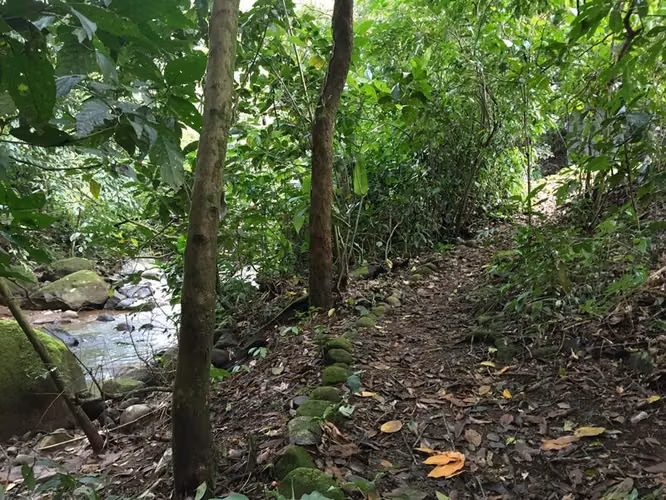 Amplio Lote con el Mejor Precio del Condominio - Vista panorámica con Hermoso Arbol - Clima Fresco