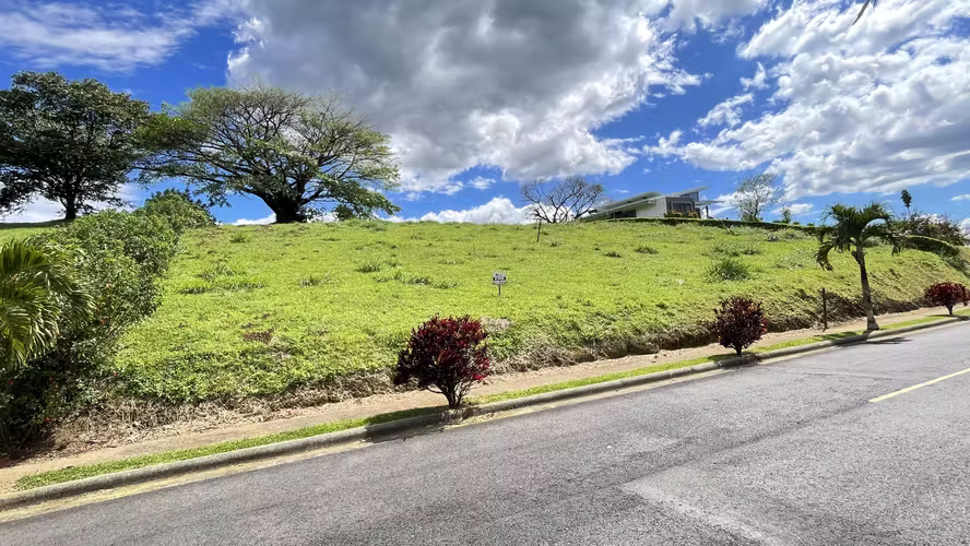 Amplio Lote con el Mejor Precio del Condominio - Vista panorámica con Hermoso Arbol - Clima Fresco