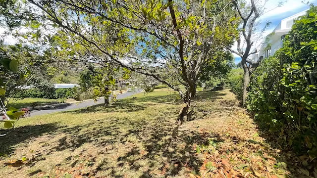 Espectacular lote esquinero plano en condominio rodeado de naturaleza - Imagen 9