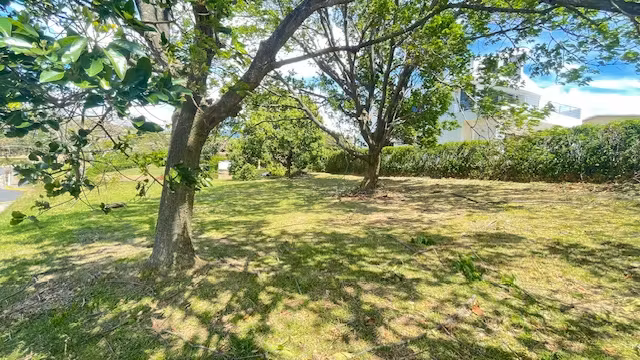 Espectacular lote esquinero plano en condominio rodeado de naturaleza - Imagen 10